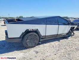 Tesla Pozostałe 2024