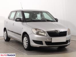 Skoda Fabia 2010 1.6 88 KM