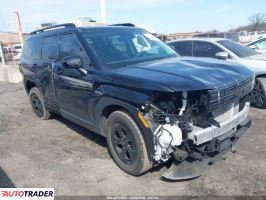 Hyundai Santa Fe 2024 2