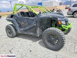 Arctic Cat Pozostałe - zobacz ofertę
