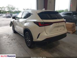 Lexus NX 2025 2 Lexus NX 2025 2