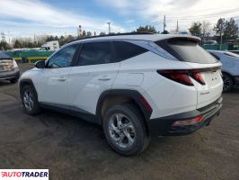 Hyundai Tucson 2024 2