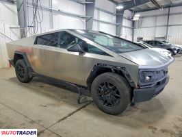 Tesla Pozostałe 2024