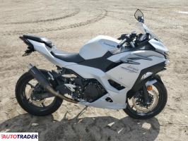 Kawasaki Pozostałe - zobacz ofertę