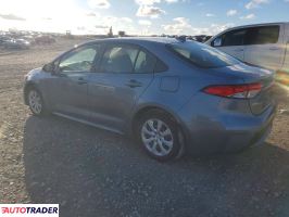 Toyota Corolla 2020 1