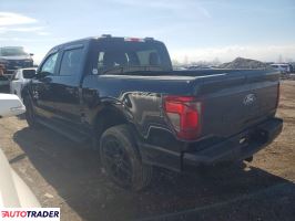 Ford Pozostałe 2024 2
