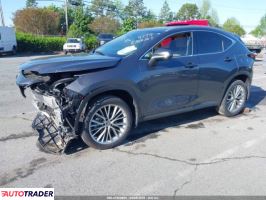 Lexus NX 2023 2 Lexus NX 2023 2