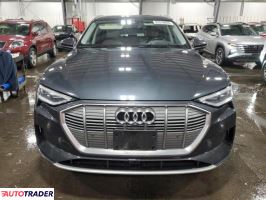 Audi E-tron 2019