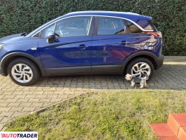 Motoryzacja - Osobowe