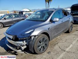Tesla Model Y 2025