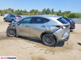 Lexus NX 2025 2