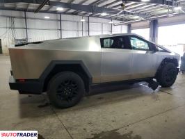 Tesla Pozostałe 2024