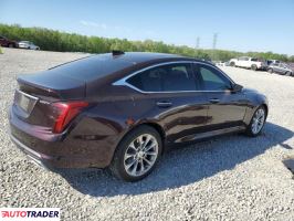Cadillac Pozostałe 2020 2 Cadillac Pozostałe 2020 2