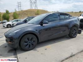 Tesla Model Y 2024 Tesla Model Y 2024