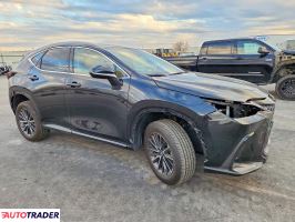 Lexus NX 2025 2