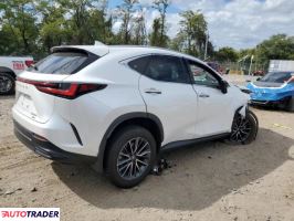 Lexus NX 2024 2