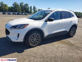 Ford Escape - zobacz ofertę
