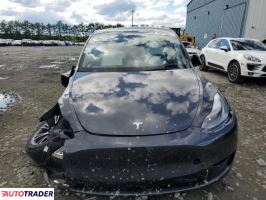 Tesla Model Y 2025