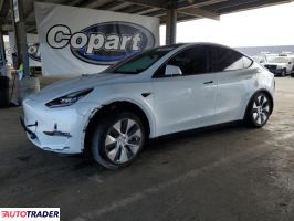 Tesla Model Y 2021 Tesla Model Y 2021