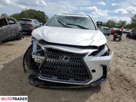 Lexus NX 2024 2