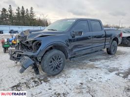 Ford Pozostałe 2025 3