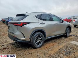 Lexus NX 2024 2