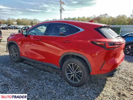 Lexus NX 2024 2