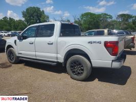 Ford Pozostałe 2024 3