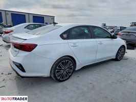 Kia Pozostałe 2020 1