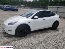 Tesla Model Y 2020