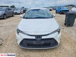 Toyota Corolla 2021 1