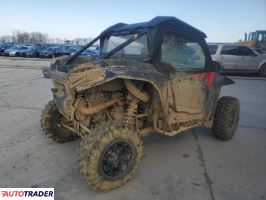 Polaris Pozostałe 2024