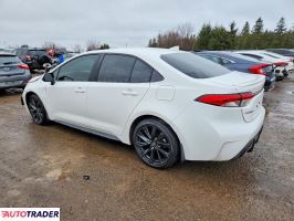 Toyota Corolla 2024 2