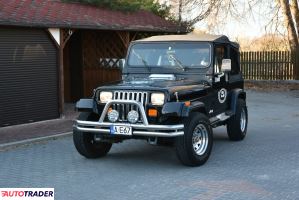Jeep Wrangler 1991 2.5 125 KM