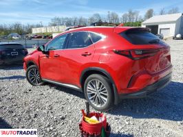 Lexus NX 2025 2