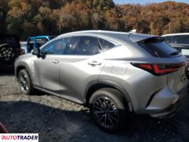 Lexus NX 2025 2