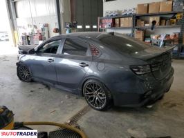 Kia Pozostałe 2024 1