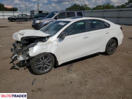 Kia Pozostałe 2023 2