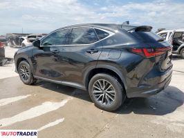 Lexus NX 2024 2 Lexus NX 2024 2