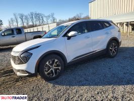 Kia Sportage 2024 2
