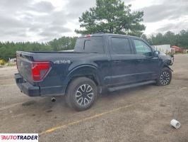 Ford Pozostałe 2024 3