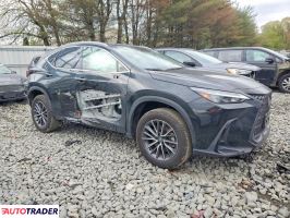 Lexus NX 2025 2