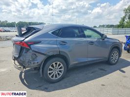 Lexus NX 2020 2