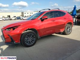 Lexus NX 2024 2