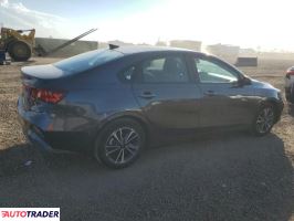 Kia Pozostałe 2024 2