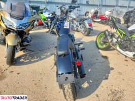 Harley-Davidson Pozostałe 2021