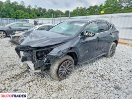 Lexus NX 2024 2