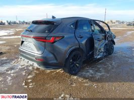 Lexus NX 2024 2