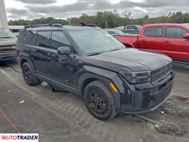 Hyundai Santa Fe 2024 2