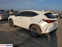 Lexus NX 2024 2